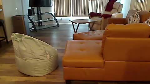 perfecto1957 online show from 12.07.24