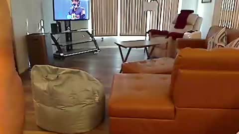 perfecto1957 online show from 12.22.24