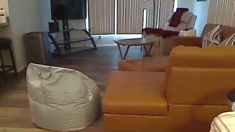 perfecto1957 online show from 12.24.24