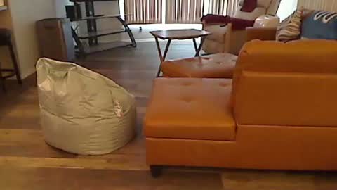 perfecto1957 online show from 01.05.25