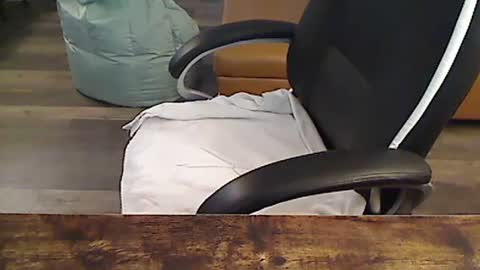 perfecto1957 online show from 09.30.25