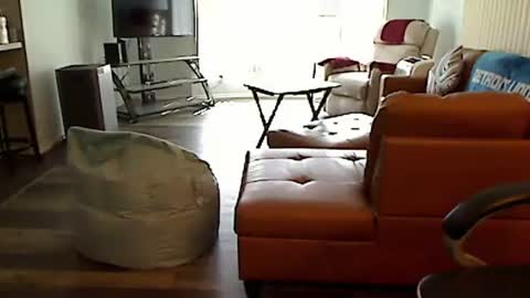 perfecto1957 online show from 10.10.25