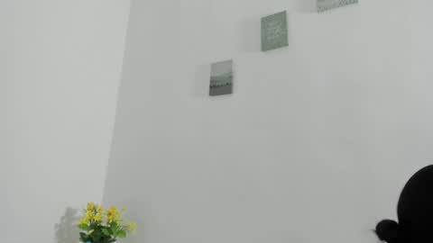 Snapshot of perla_mistc chatting on 04.10.26 Perla mistc online show from 04.10.26