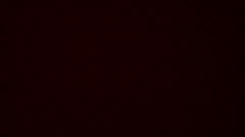 perritobareback online show from 10.28.25