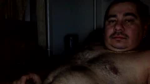 perro2010joshua online show from 01.08.25