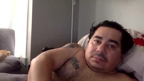 perro2010joshua online show from 01.11.25