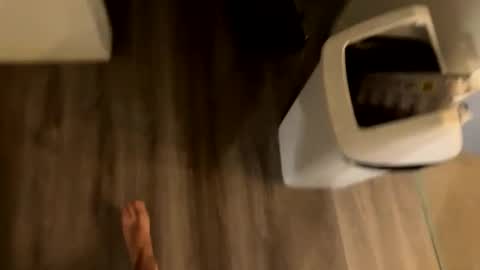 perthguytop online show from 11.04.25