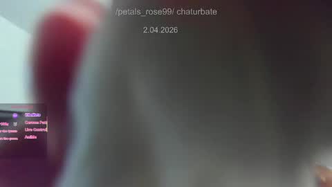 Snapshot of petals_rose99 chatting on 04.01.26 Rose online show from 04.01.26