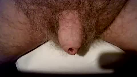 peterpeteropoulos online show from 10.24.25