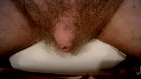 peterpeteropoulos online show from 02.21.26