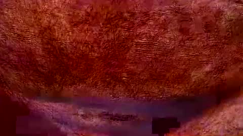 Snapshot of peterpeteropoulos chatting on 07.20.26 peterpeteropoulos online show from 07.20.26
