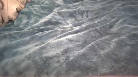 Little cupcake online show from 02.26.25