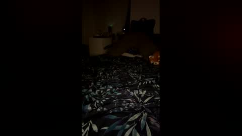 PetiteCurves online show from 02.12.26