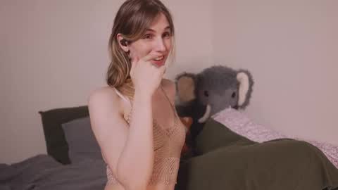 caracal online show from 10.10.25