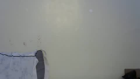 petitte_gyaal online show from 10.13.25