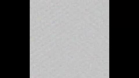 peytonn_monroe online show from 10.31.25