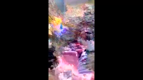 pezzabigcock online show from 02.17.26