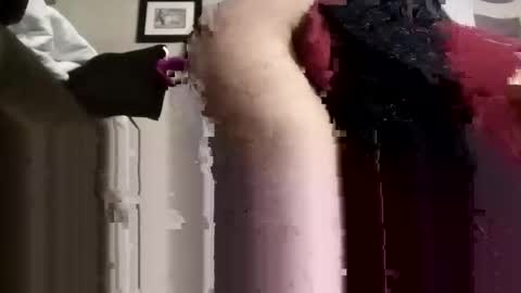 phillipdee online show from 11.13.25