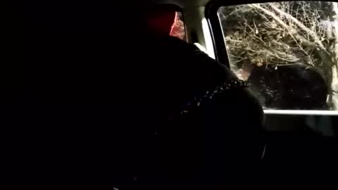 phillipdee online show from 02.01.26