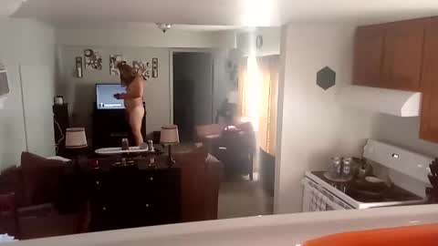 Phinfan online show from 02.23.25