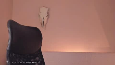 Snapshot of phoenixx_x chatting on 12.28.24 phoenixx_x online show from 12.28.24