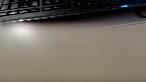 pier49x online show from 01.12.25