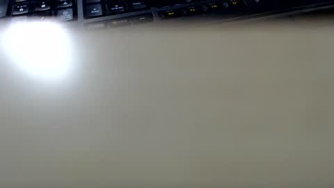 pier49x online show from 02.11.25