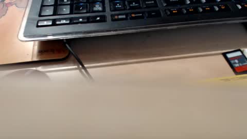 pier49x online show from 09.11.25