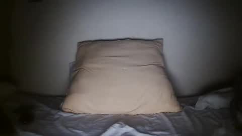 pieslatinos online show from 01.31.25