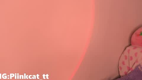 Snapshot of piinkcat chatting on 12.03.25 Emi online show from 12.03.25