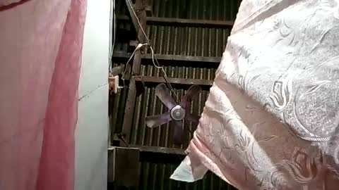 pinaybobs online show from 03.02.26