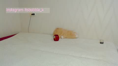 Snapshot of pink_pikachu_ chatting on 03.04.25 Pikachu pika online show from 03.04.25
