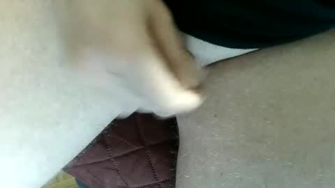 pippo online show from 02.02.25