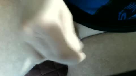 pippo online show from 03.04.25