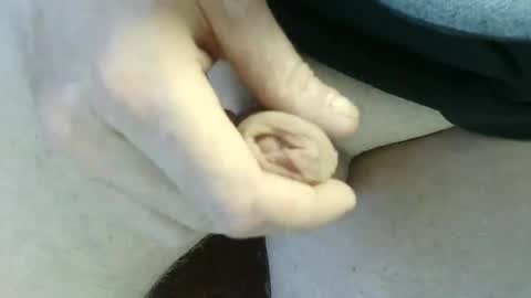 pippo online show from 09.14.25