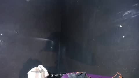 pirata_privado online show from 12.05.25