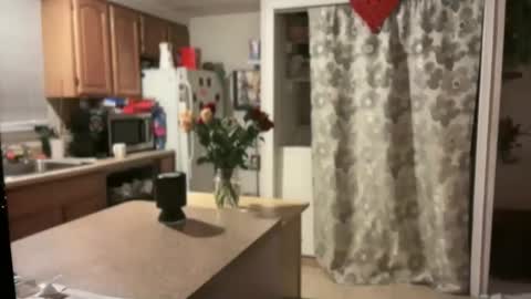 pirdybirdyxo online show from 01.30.25