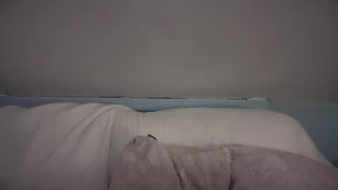 pirdybirdyxo online show from 02.26.25