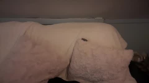 pirdybirdyxo online show from 03.02.25