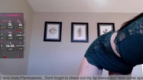 Plantbabeee online show from 12.02.24