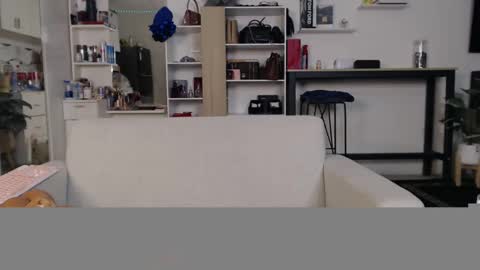 Snapshot of plasticgirll chatting on 01.11.25 plasticgirll online show from 01.11.25