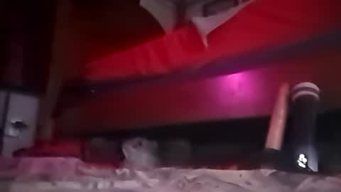 Snapshot of playboy5543 chatting on 12.12.24 SEX ADDICTION WANNA MEET online show from 12.12.24