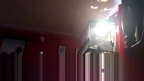 Snapshot of playboy5543 chatting on 12.19.24 SEX ADDICTION WANNA MEET online show from 12.19.24