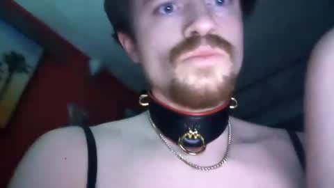 Snapshot of playboy5543 chatting on 12.21.24 SEX ADDICTION WANNA MEET online show from 12.21.24