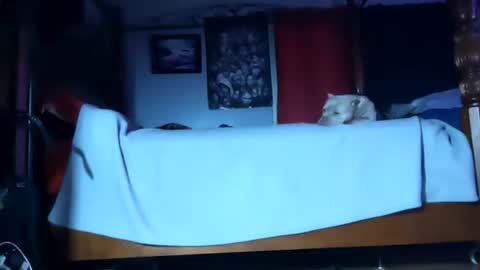 Snapshot of playboy5543 chatting on 01.20.25 SEX ADDICTION WANNA MEET online show from 01.20.25