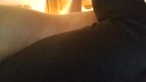 Snapshot of playfulpair7982 chatting on 11.05.25 Nichole Vixen Jacob online show from 11.05.25