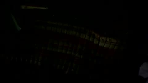 Snapshot of pleaseownme2 chatting on 09.13.25 pleaseownme2 online show from 09.13.25