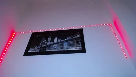  CHARLOTTE  online show from 12.17.24