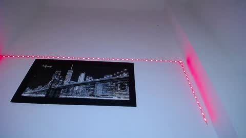  CHARLOTTE  online show from 12.27.24