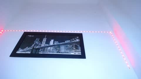  CHARLOTTE  online show from 01.17.25